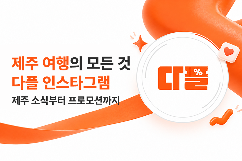 다플 인스타그램