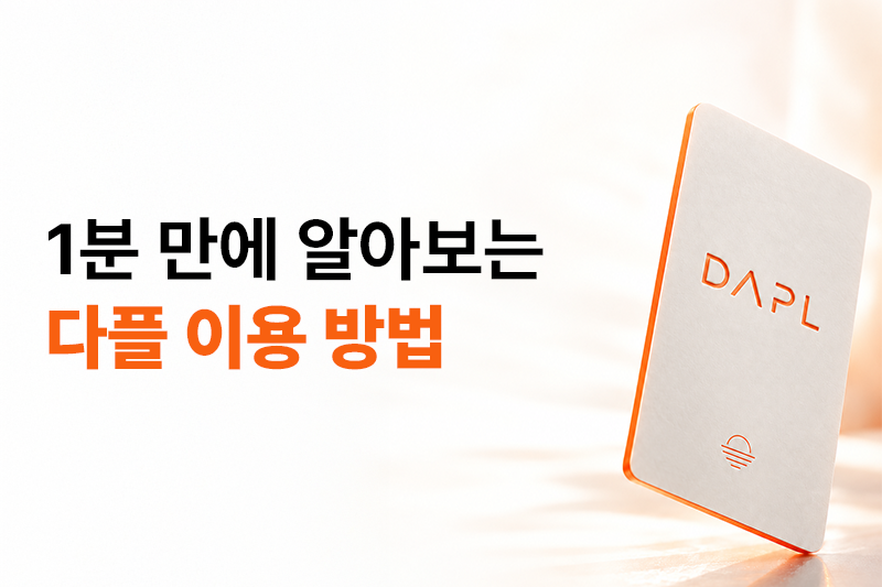다플 이용 방법